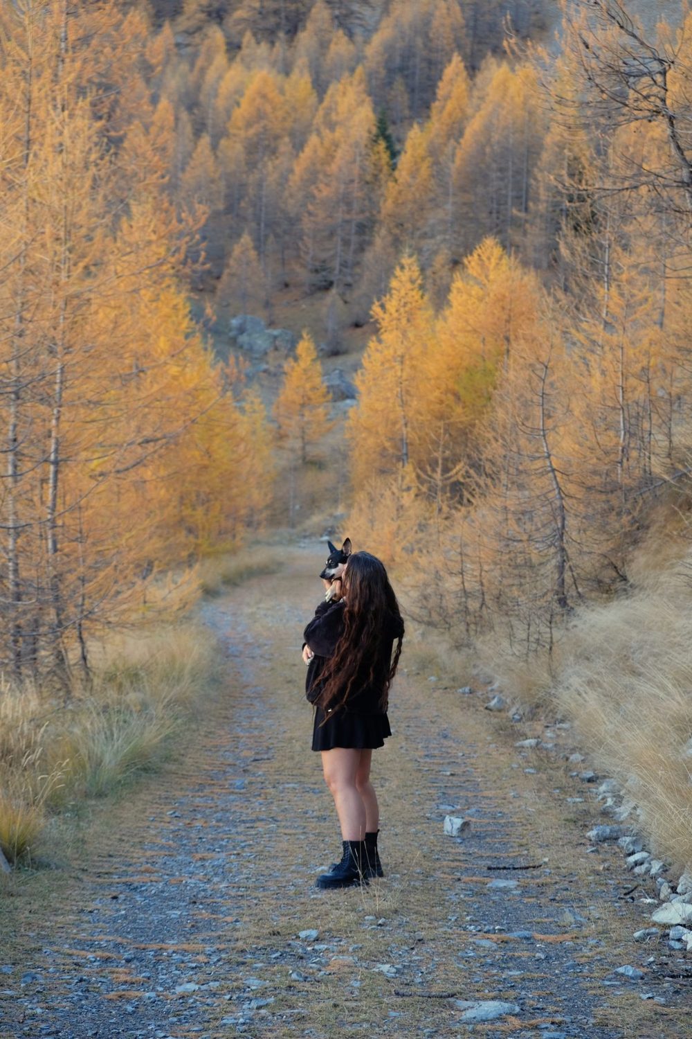 Dayna holding our dog Ingi on a trail through golden larches in the Tinée valley