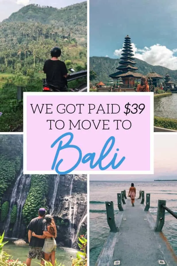 We got paid $39 to move to Bali