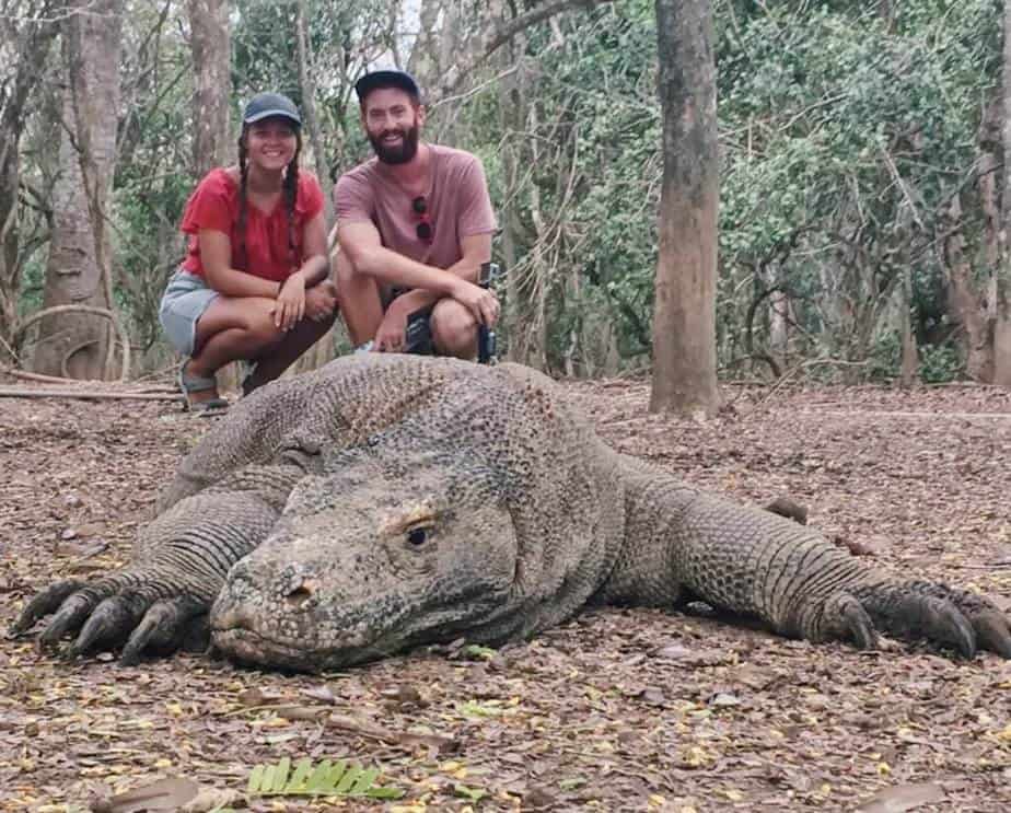 a couple standing behind a komodo dragon