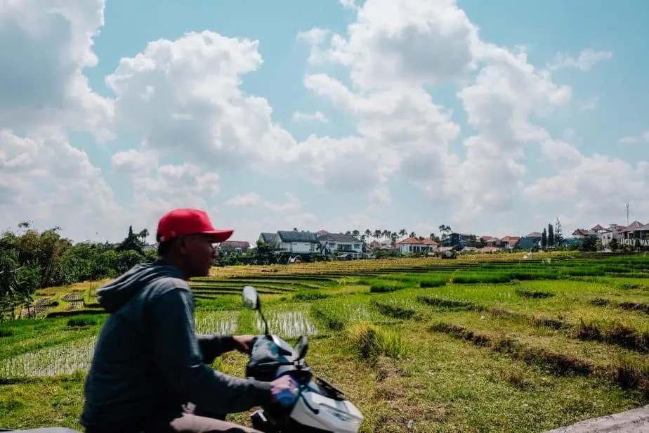 A man riding a scooter in front of rice paddies