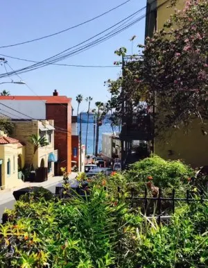 view from a street in Avalon, Catalina