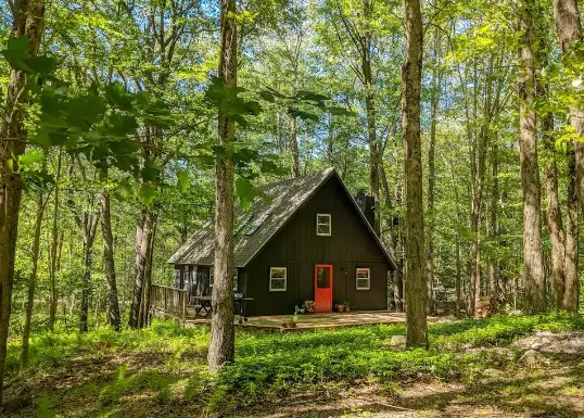 Black Pennsylvania cabin rental Airbnb