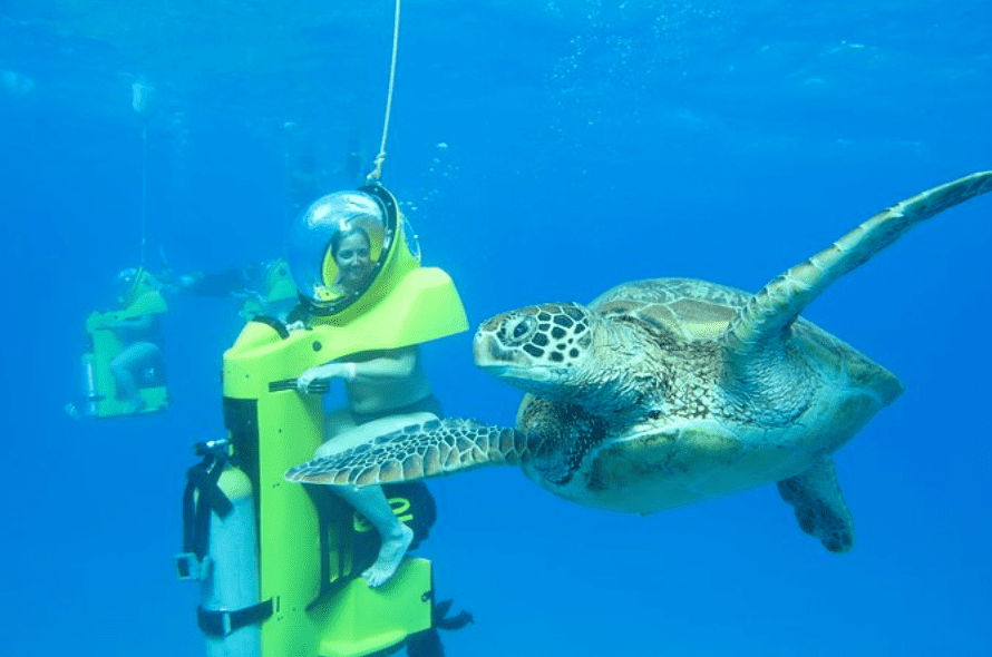 Scuba diving with Turtles in Oahu