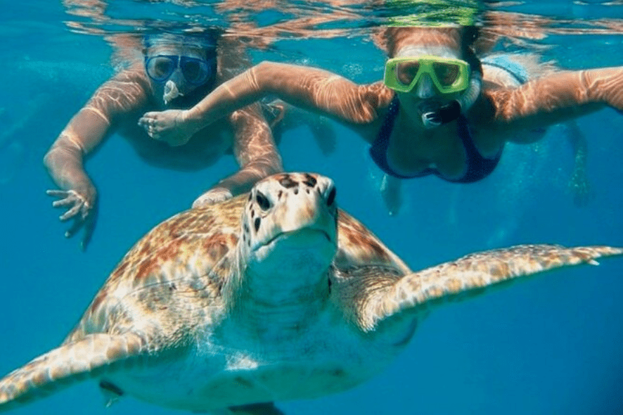Snorkeling with Turtles in Hawaii