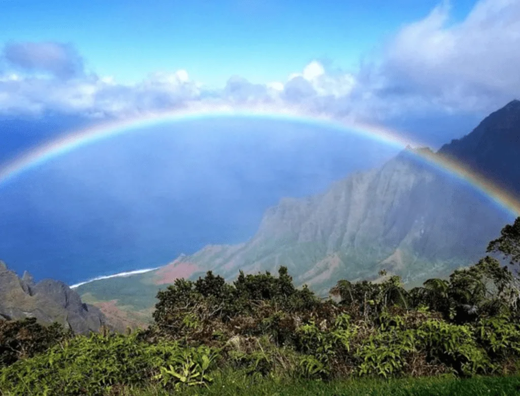 Hawaii Private Tours