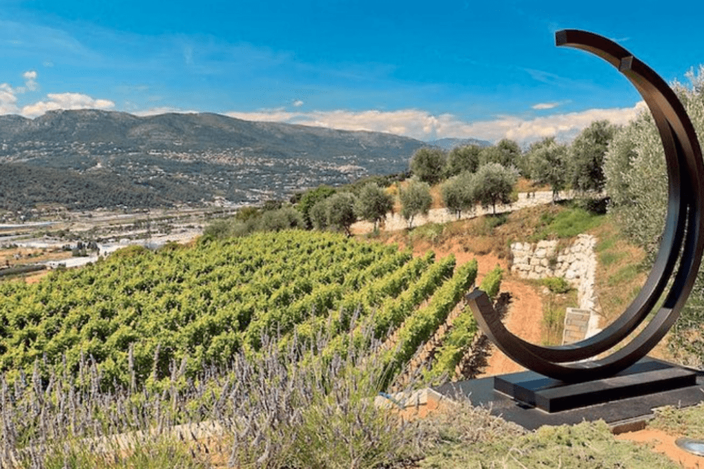 south of france wine tours