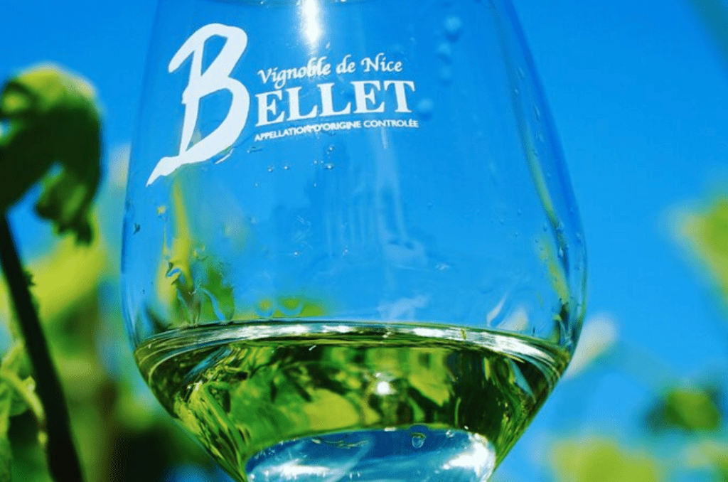 Best french riviera wine tours