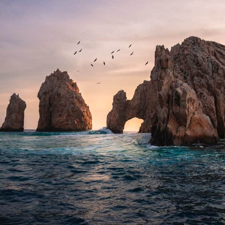 10 Amazing Cabo San Lucas Sunset Cruises To Book Now