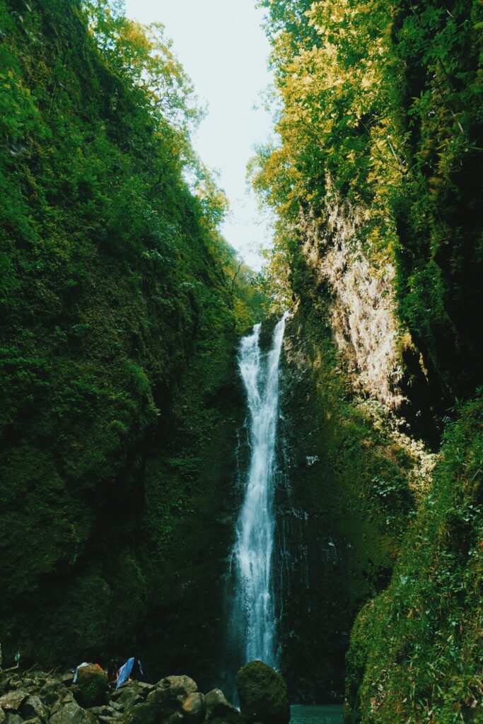 Maui waterfall tour
