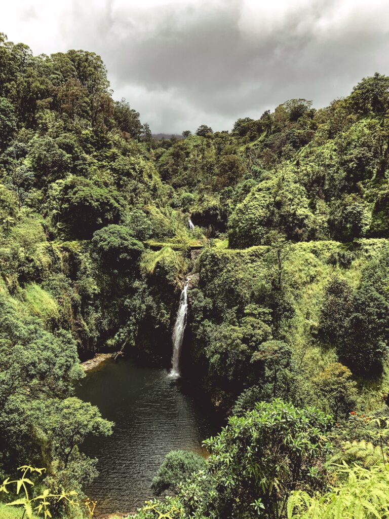 Maui Guided hiking tours