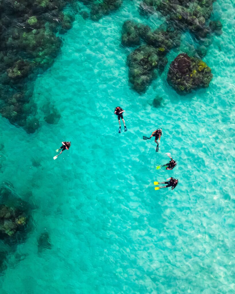 a snorkeling group swimming in Maui