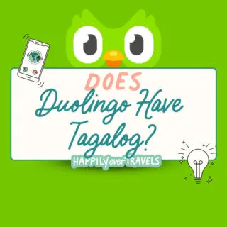 text says