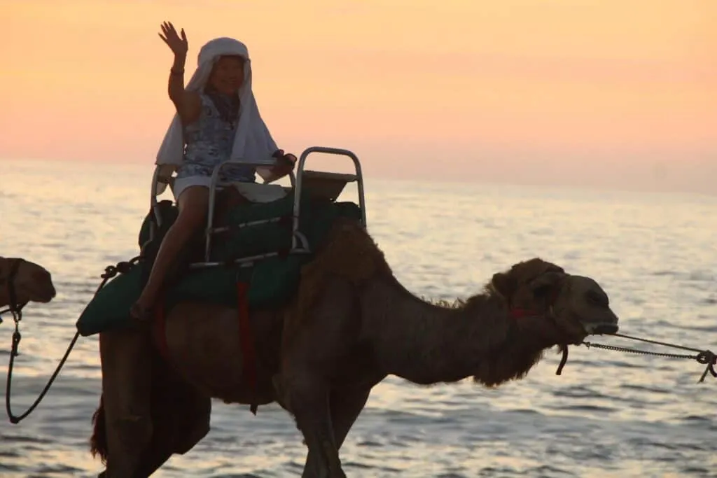 Camel Riding in Cabo
