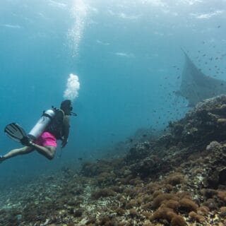 Scuba diving Nusa Penida