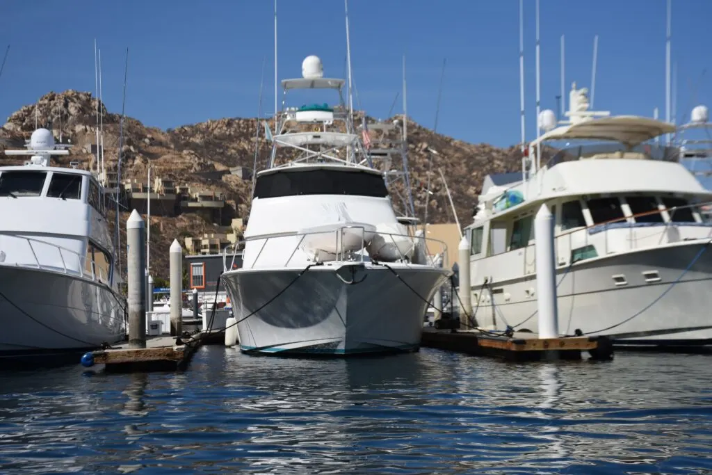 best sightseeing boat tours cabo