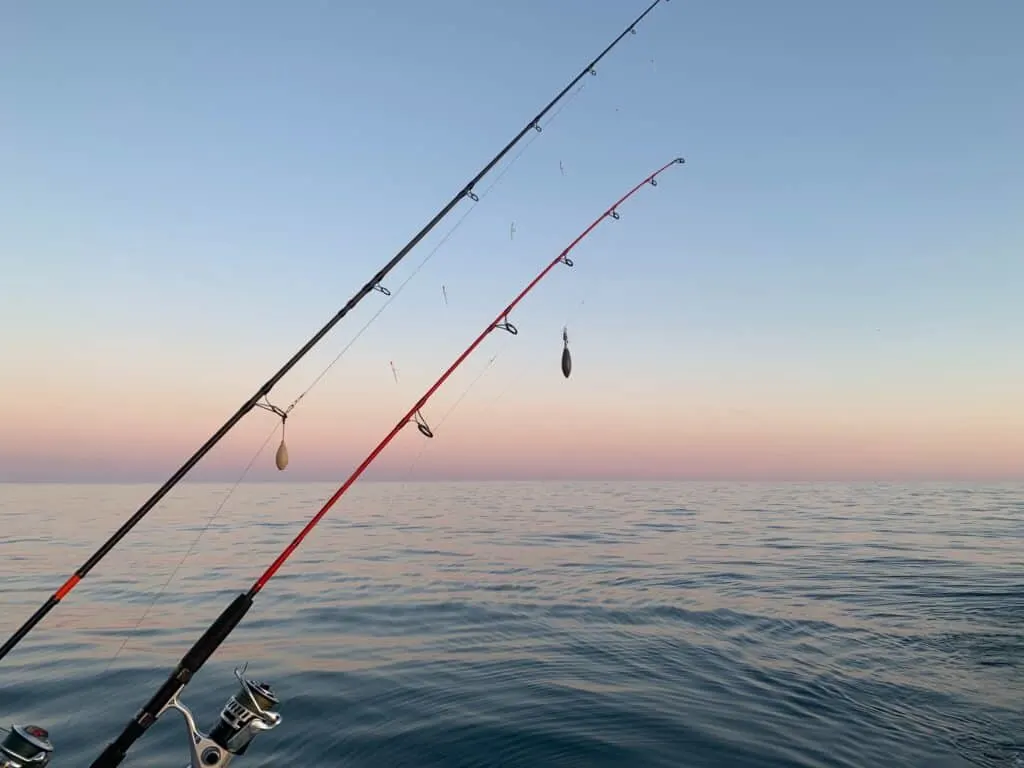 Where to fish in PV