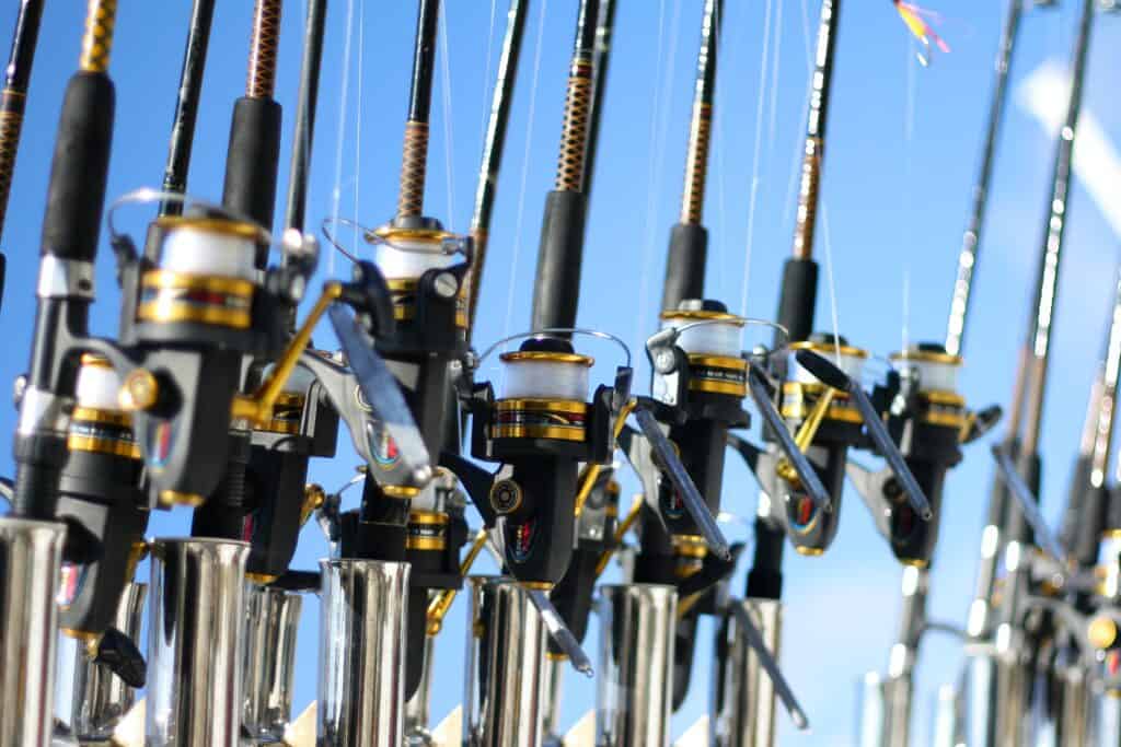 Mexico Fishing Charters 
