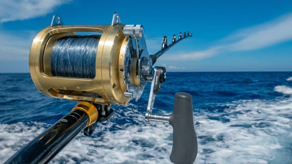 deep sea fishing Puerto Vallarta