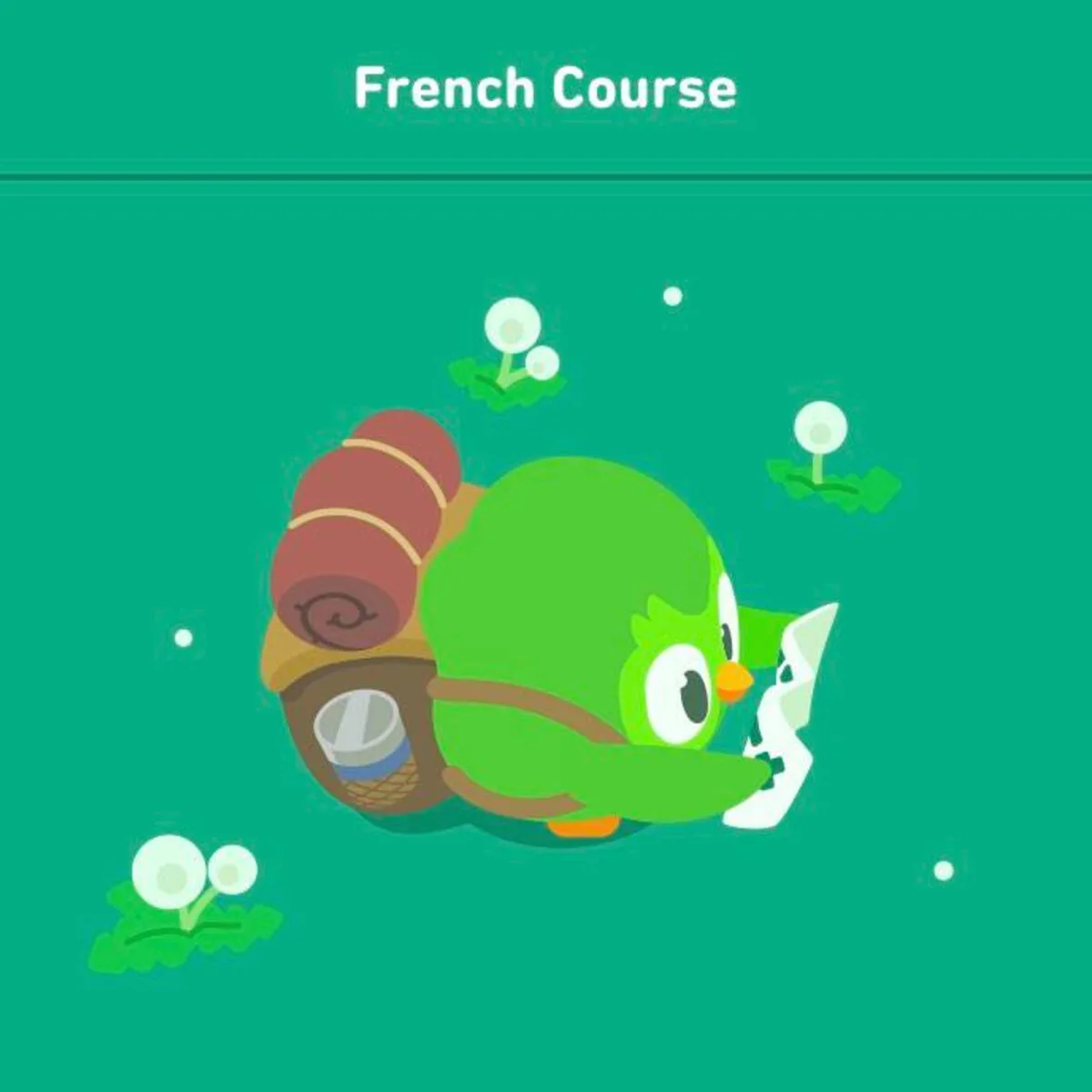 Duolingo French Review 2023: Is Duolingo Good for French?